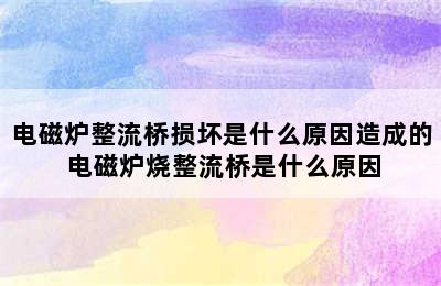 电磁炉整流桥损坏是什么原因造成的 电磁炉烧整流桥是什么原因